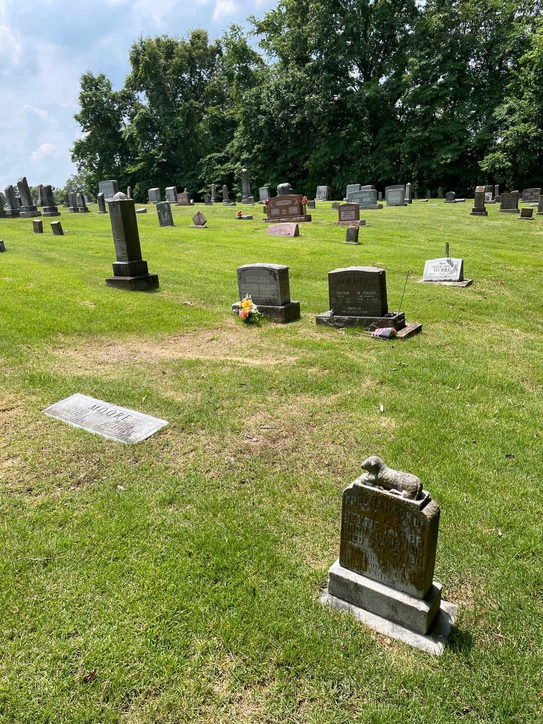 Freeman Taylor's grave. Photo 2