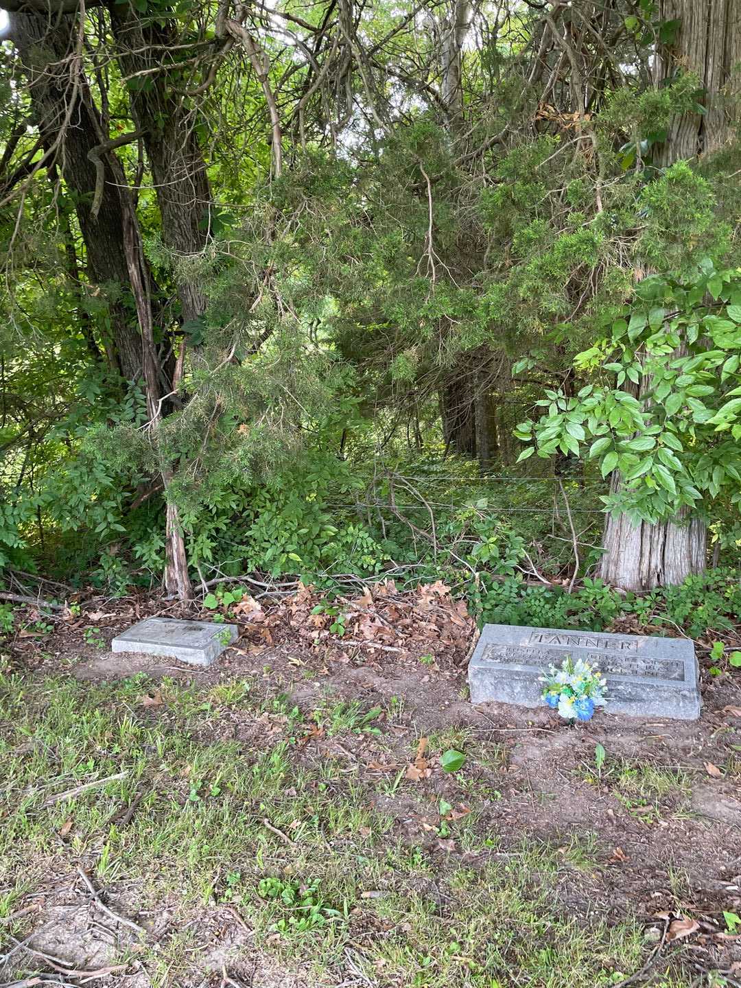 Rosella Tanner's grave. Photo 2