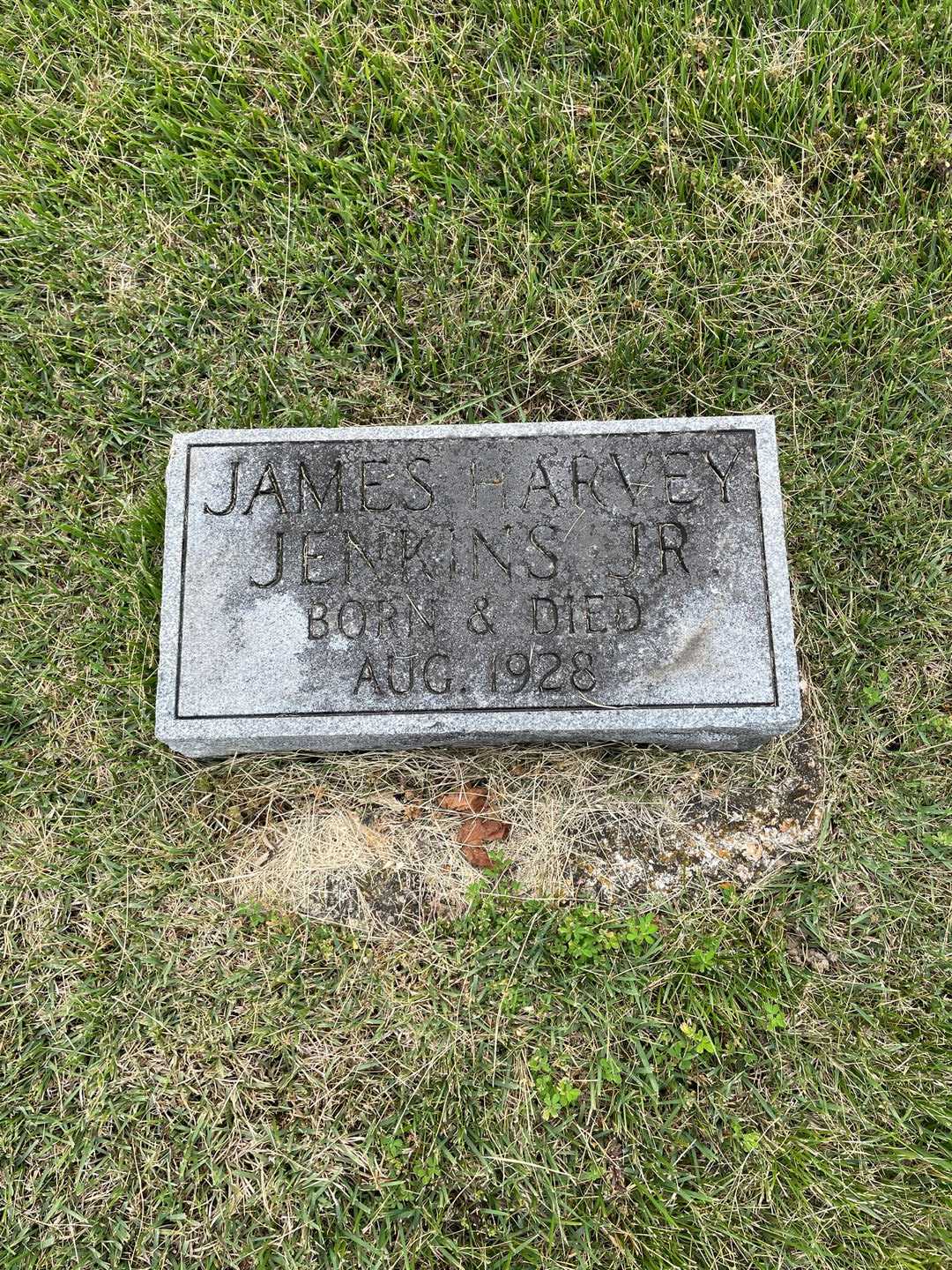 James Harvey Jenkins Junior's grave. Photo 1
