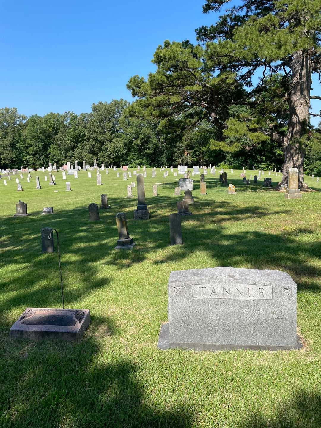 Sylvester C. Tanner's grave. Photo 2