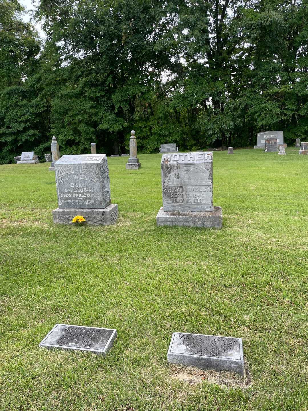 James Harvey Jenkins Junior's grave. Photo 2