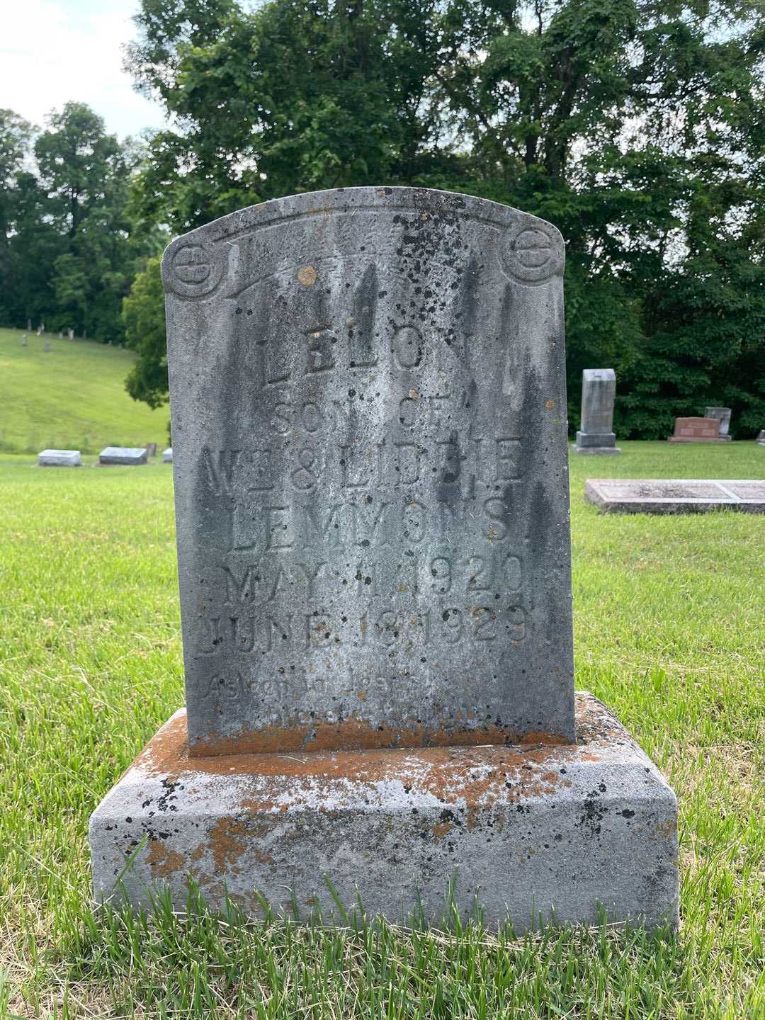 Lelon Lemmons's grave. Photo 1