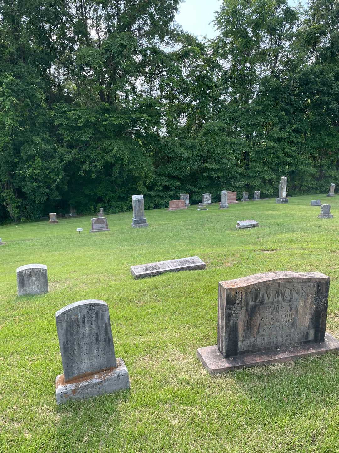 Lelon Lemmons's grave. Photo 2