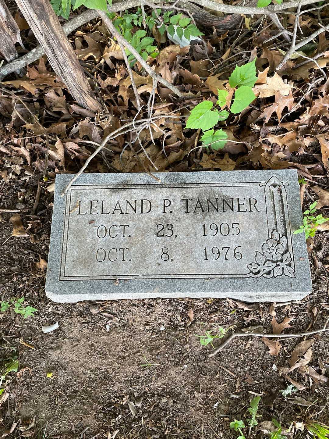 Leland P. Tanner's grave. Photo 1