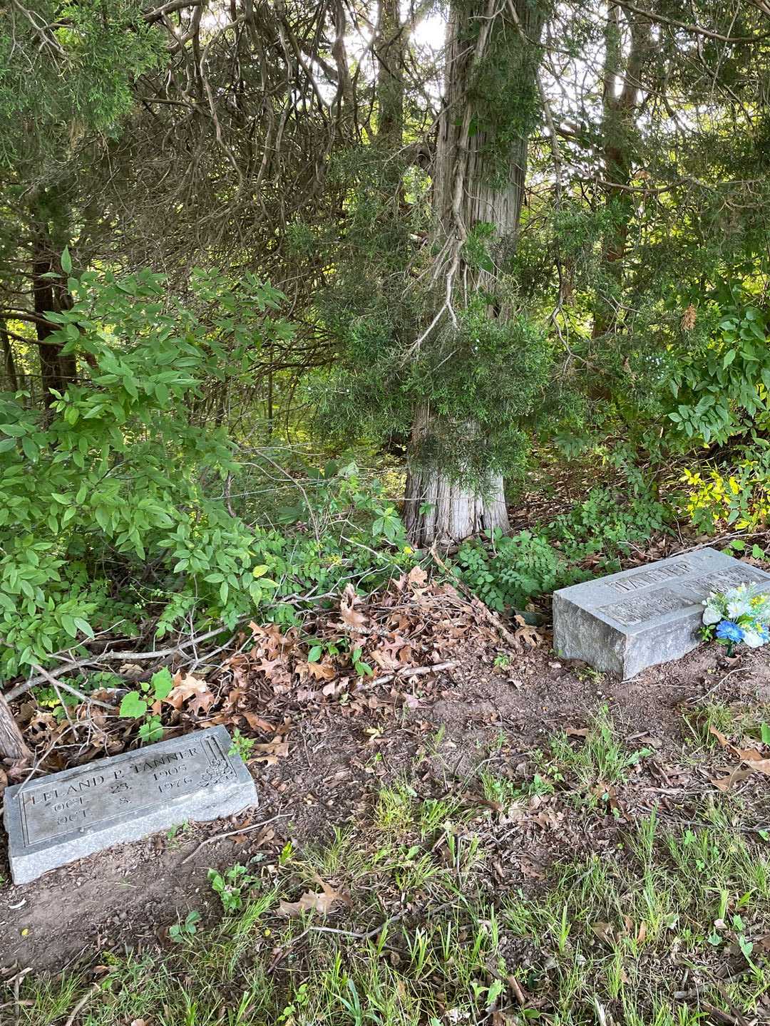 Leland P. Tanner's grave. Photo 2