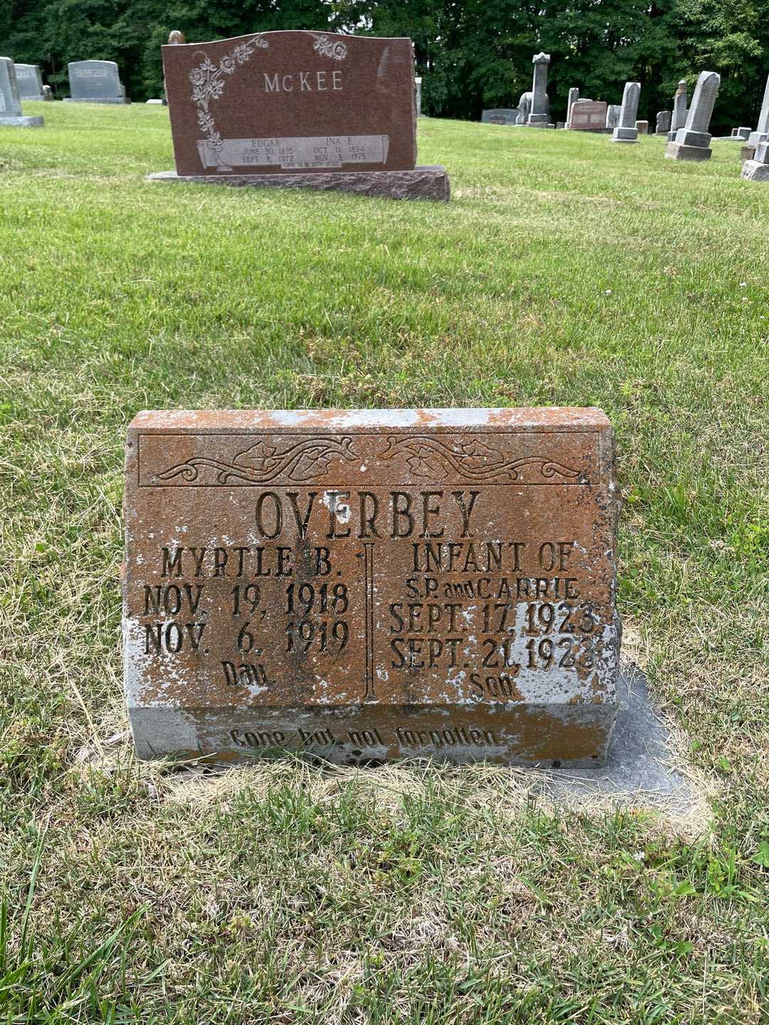 Myrtle B. Overbey's grave. Photo 1