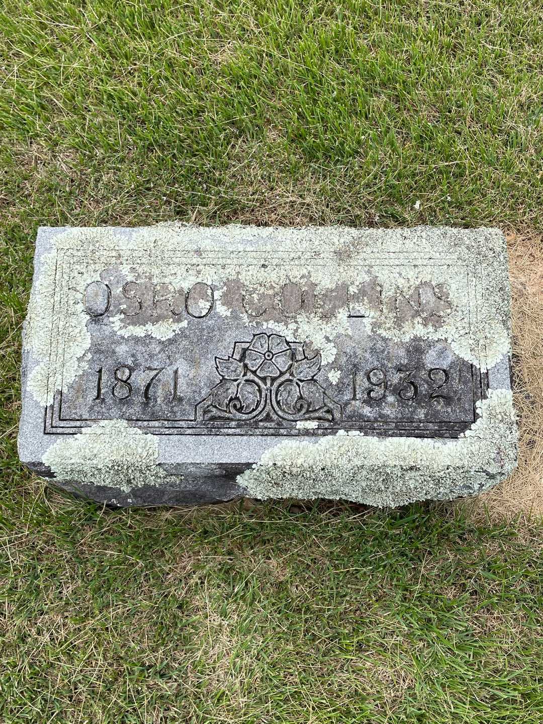 Osro Collins's grave. Photo 1