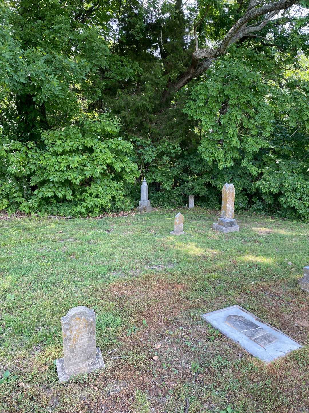 Eva L. Colbert's grave. Photo 2