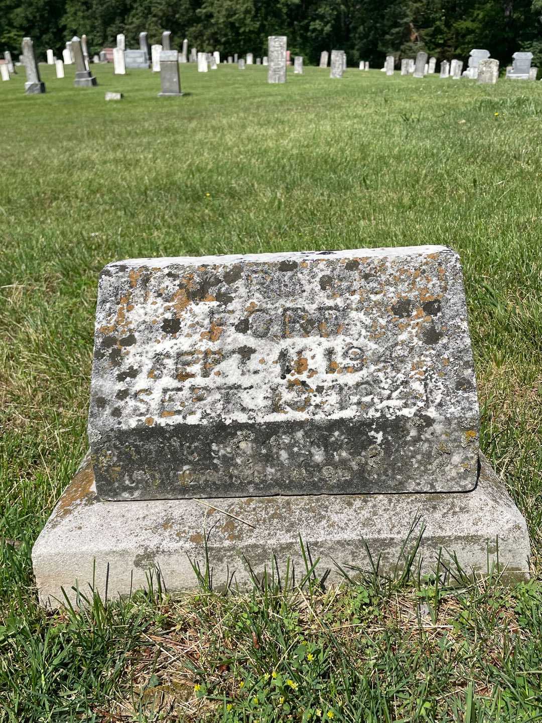 Richard Ford's grave. Photo 1