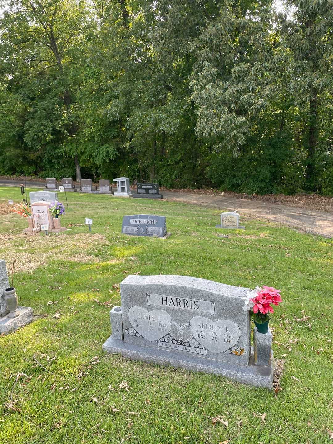 Shirley R. Harris's grave. Photo 4