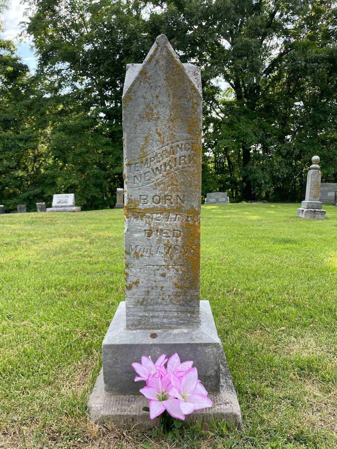 Temperance Newkirk's grave. Photo 1