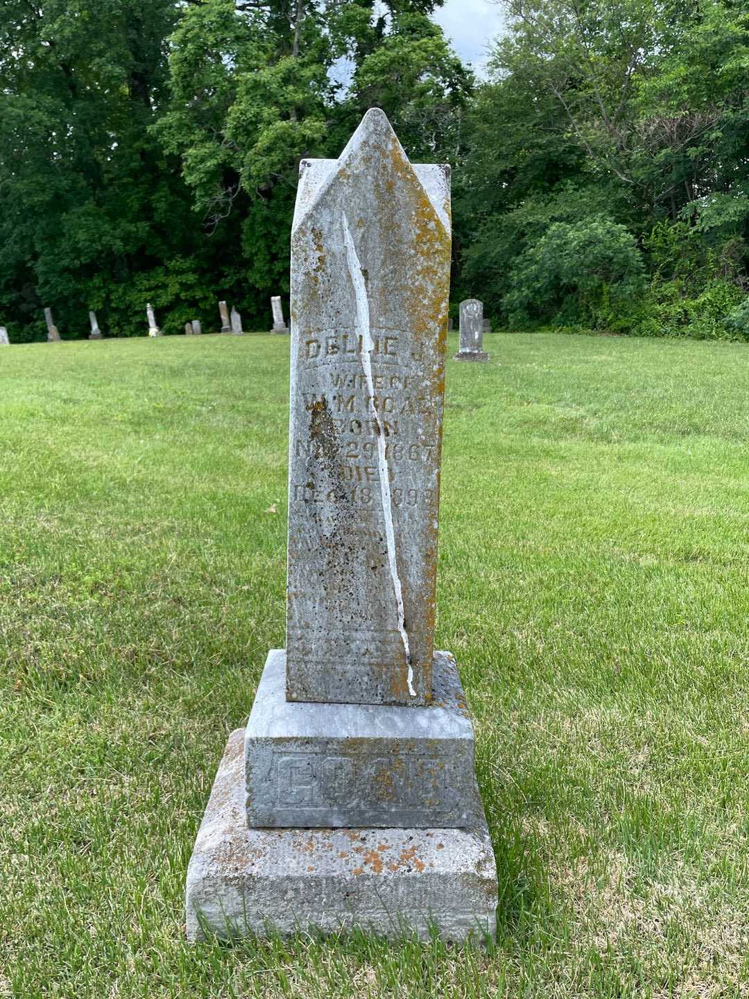 Dellie J. Goad's grave. Photo 1