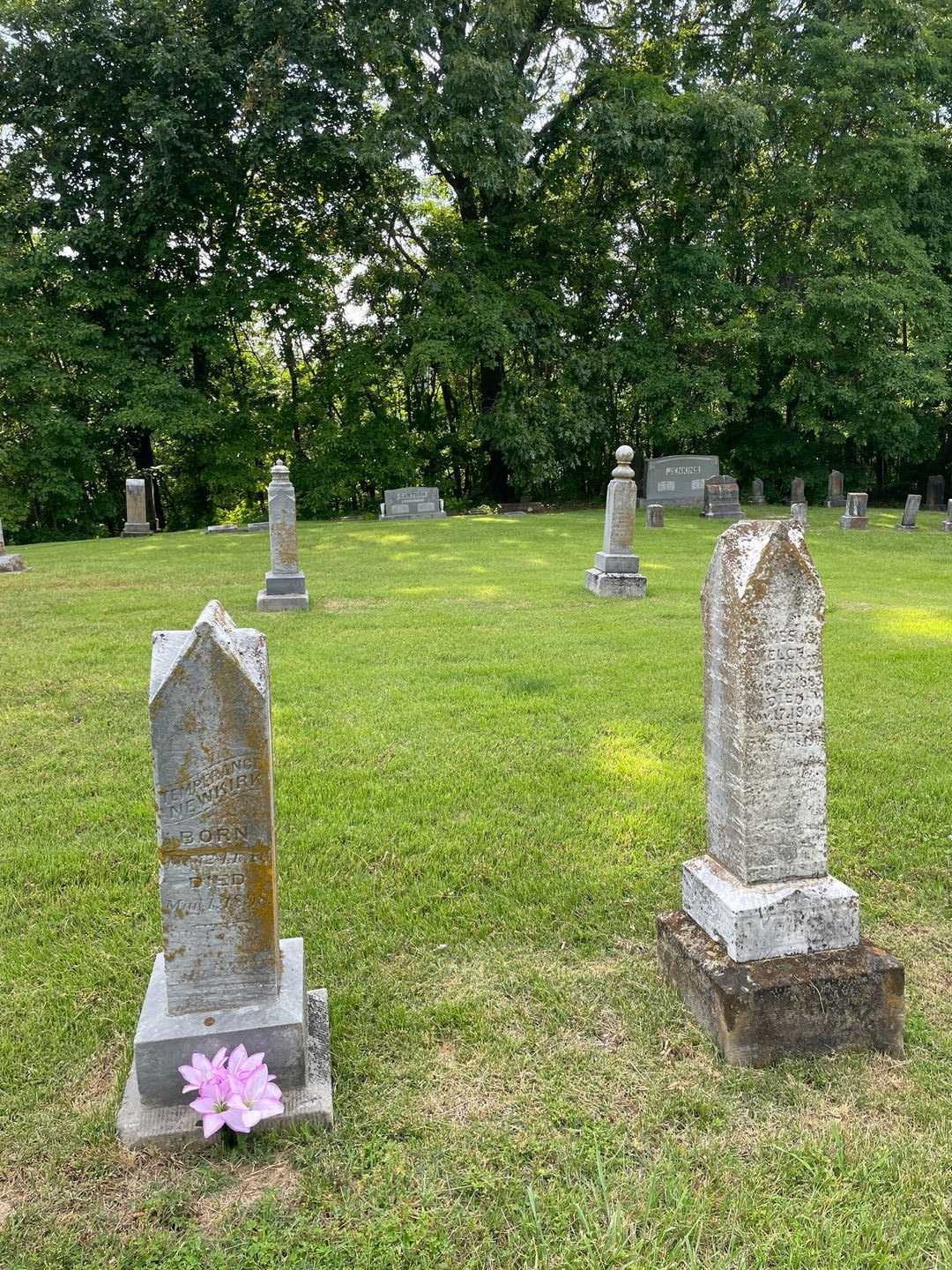 Temperance Newkirk's grave. Photo 2