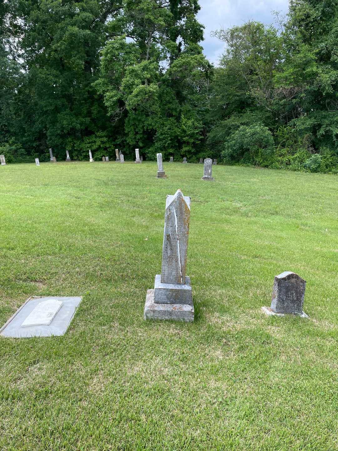 Dellie J. Goad's grave. Photo 2