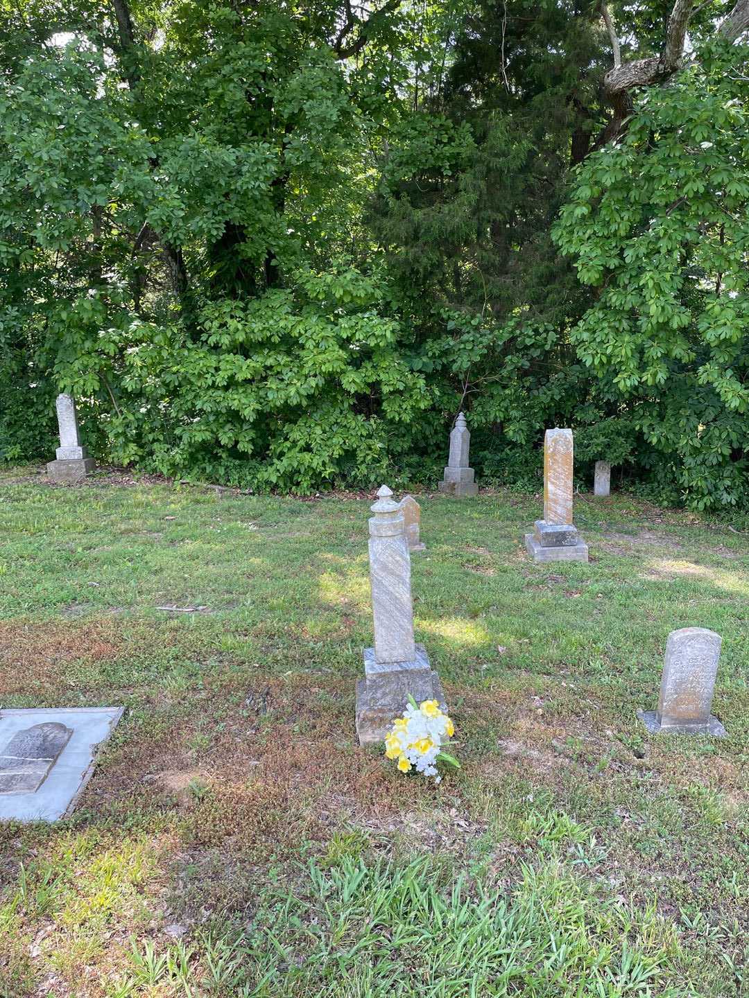 Josie Thompson's grave. Photo 2