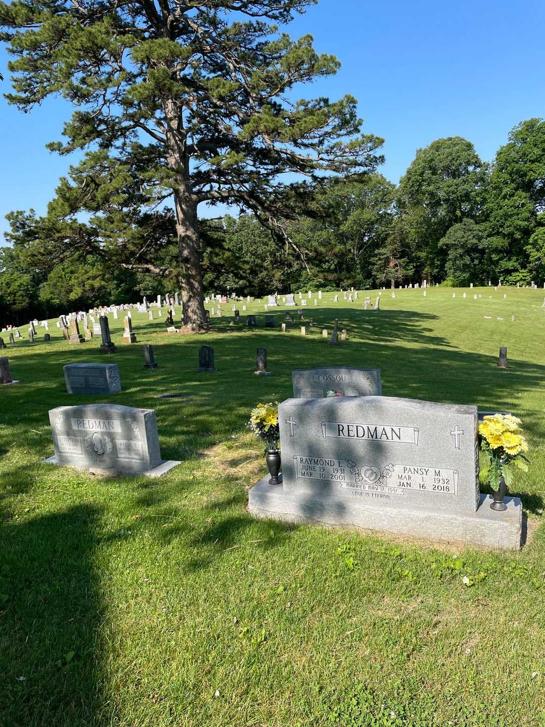 Raymond L. Redman's grave. Photo 2