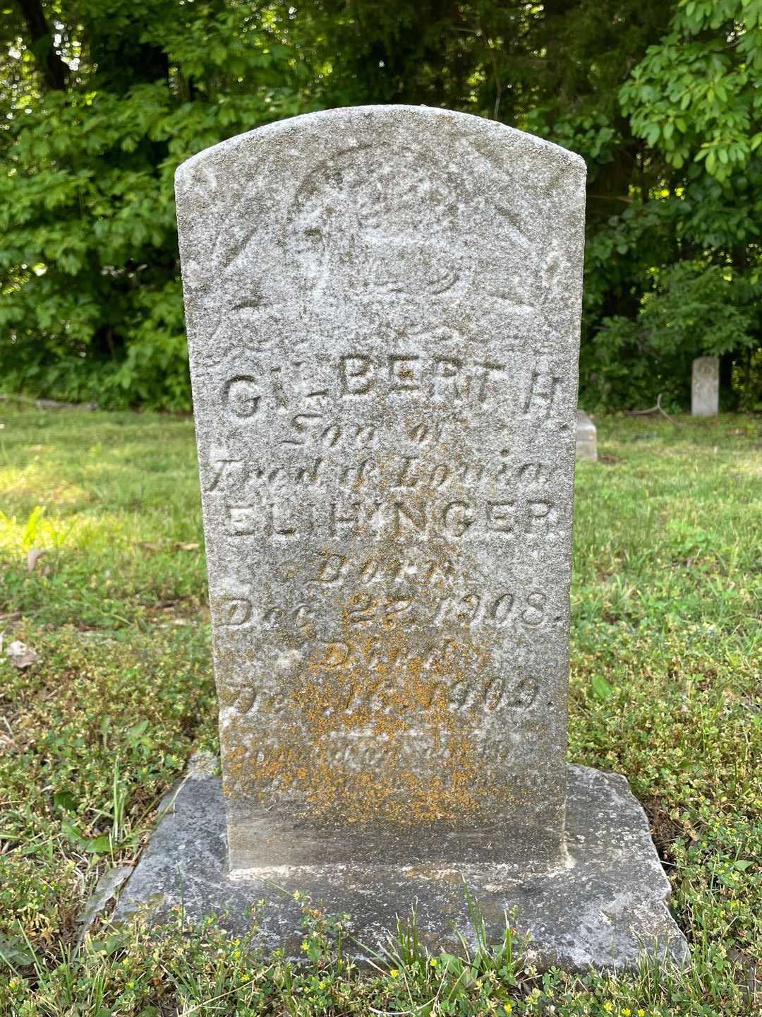 Gilbert H. Elihinger's grave. Photo 1