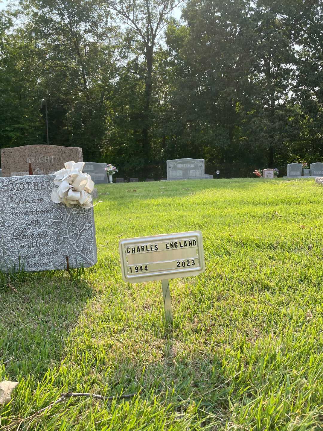 Patrice England's grave. Photo 2