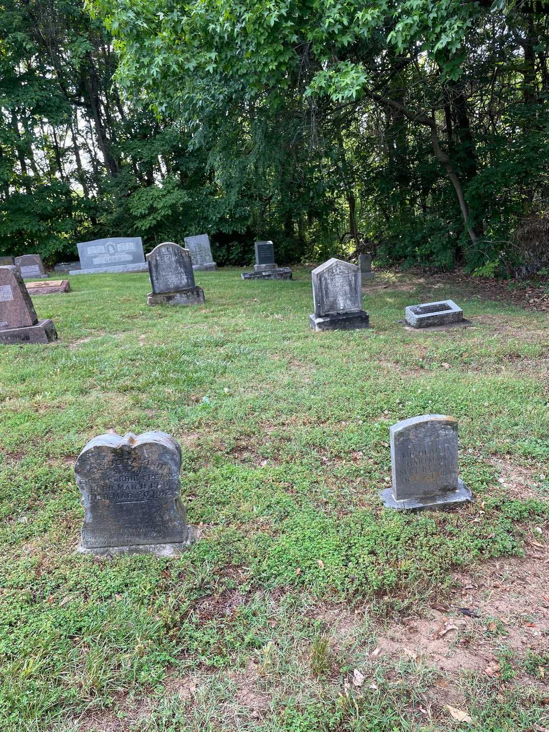 Clyde Taylor Spears's grave. Photo 2