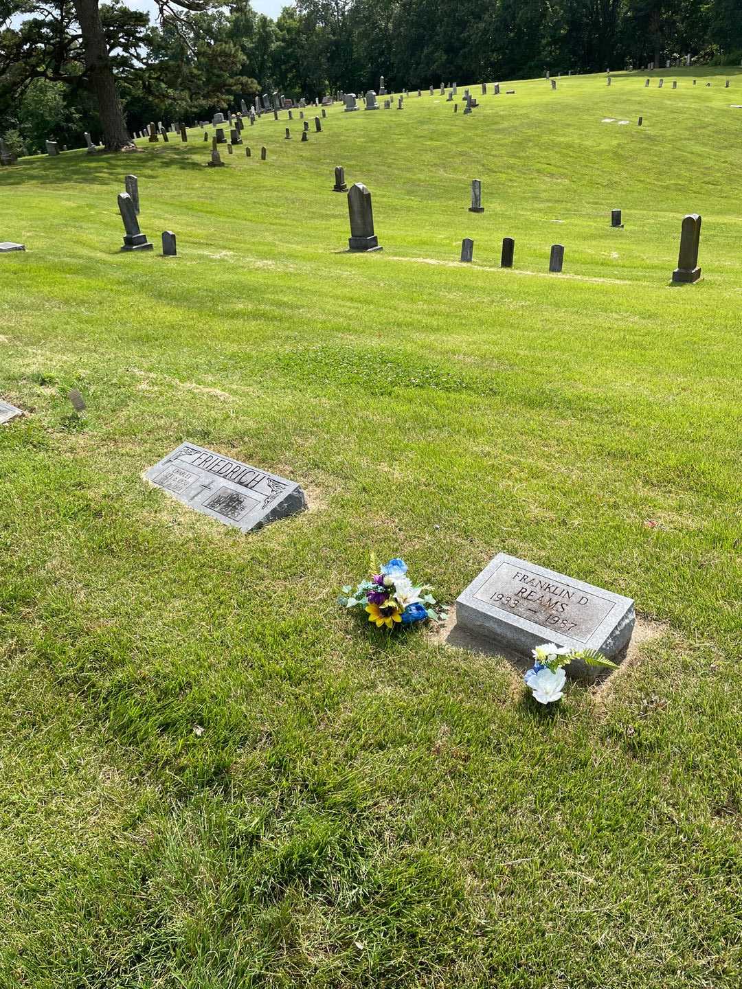 Franklin D. Reams's grave. Photo 2