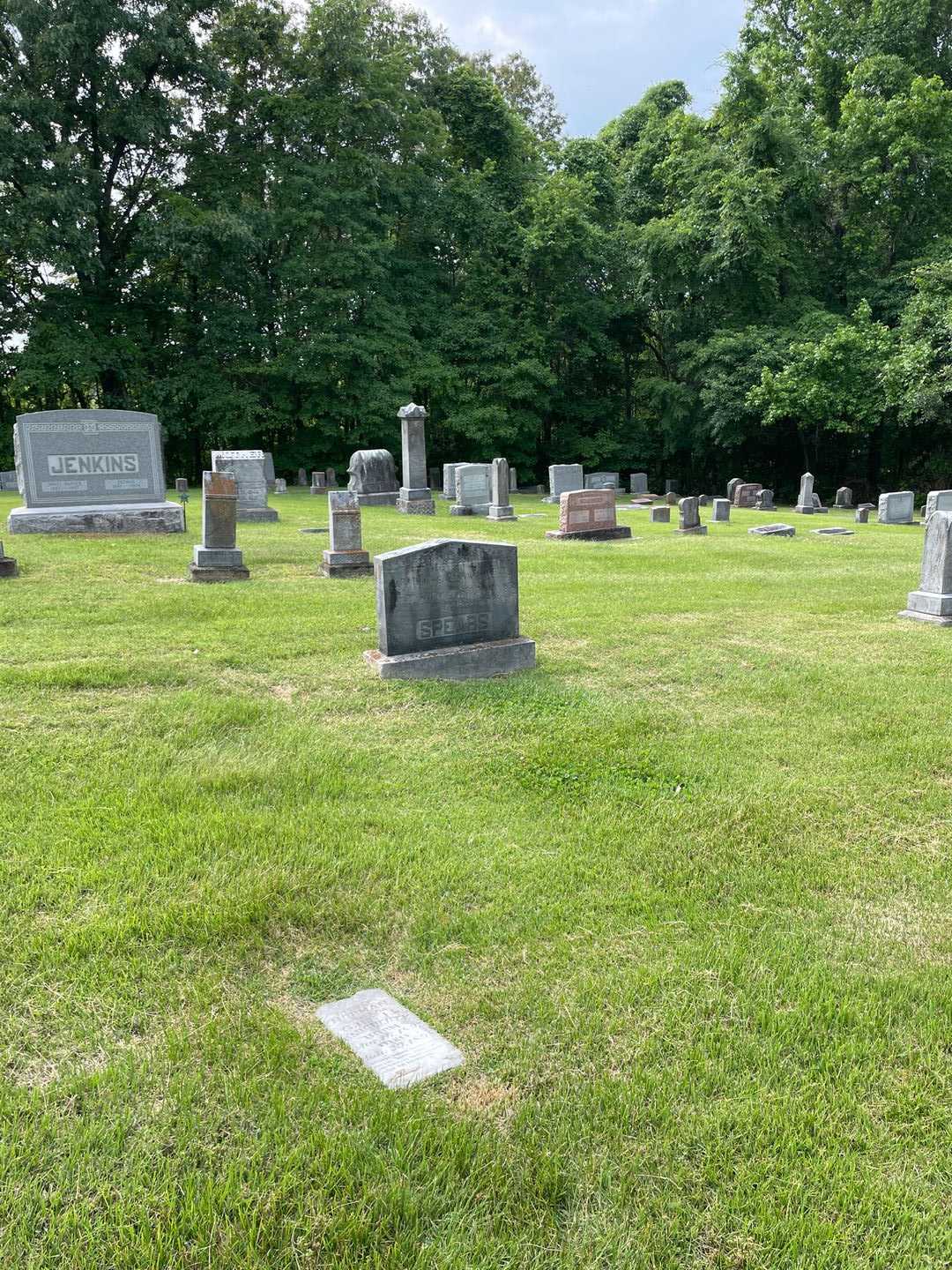 Norman Daugherty's grave. Photo 2