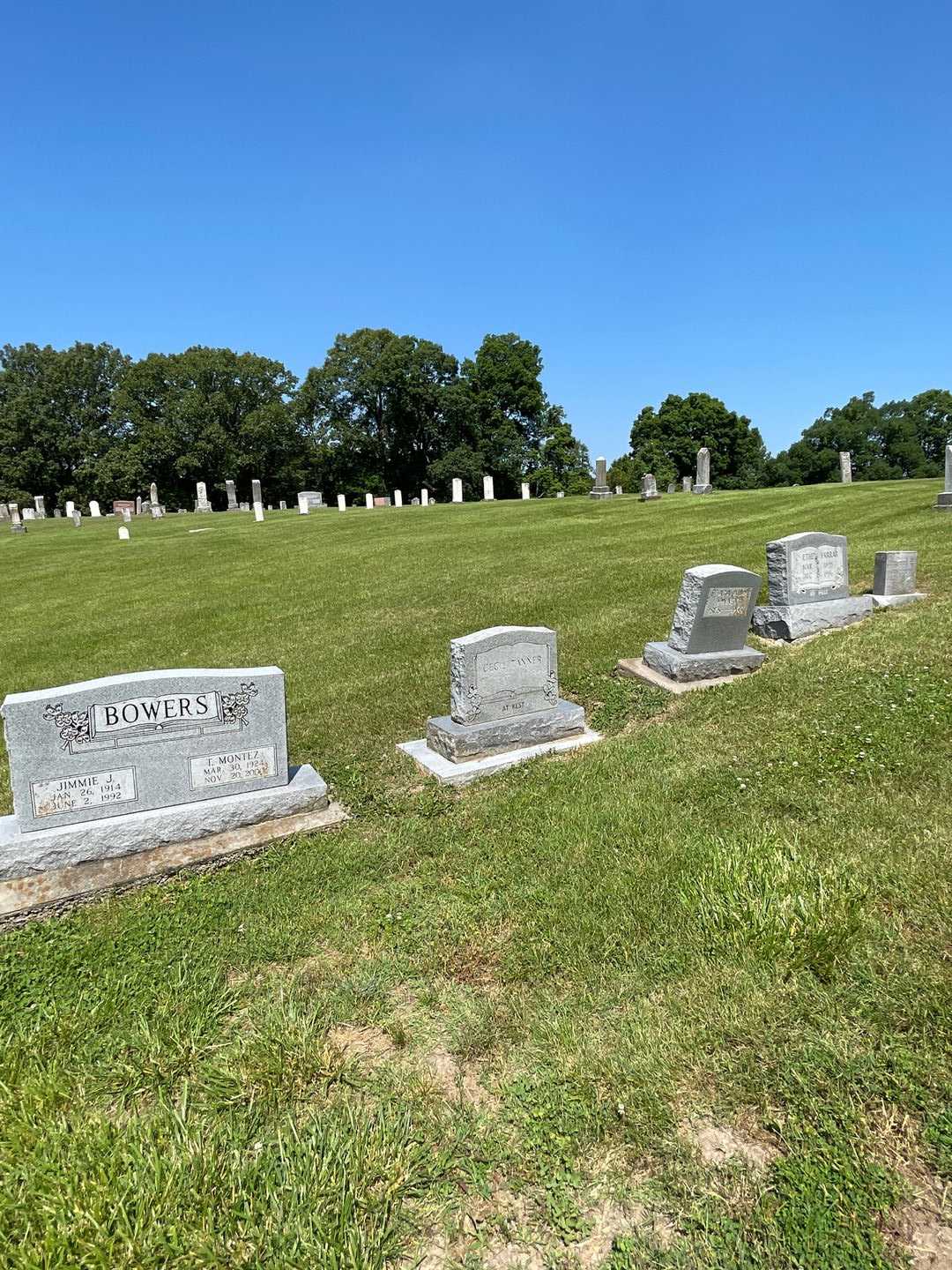 Cecil Tanner's grave. Photo 2