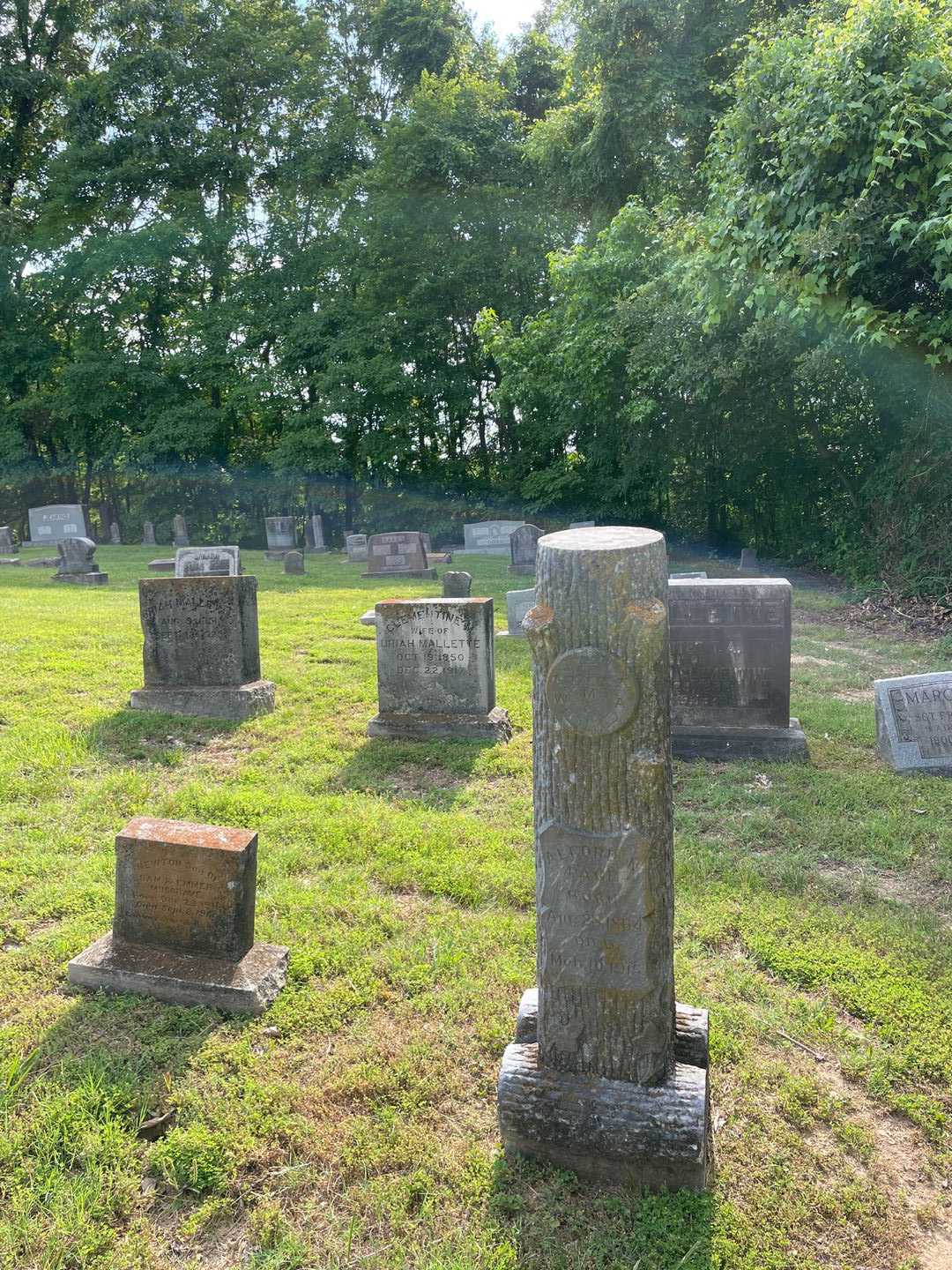 Alford N. Page's grave. Photo 2