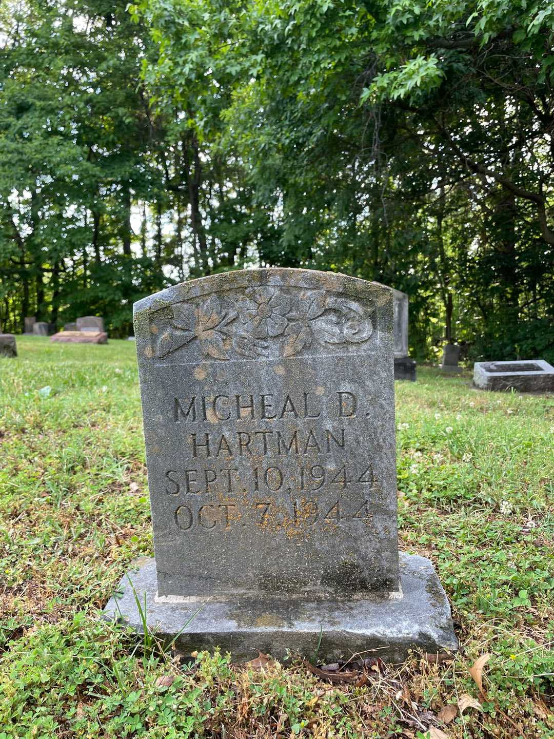 Micheal D. Hartman's grave. Photo 1