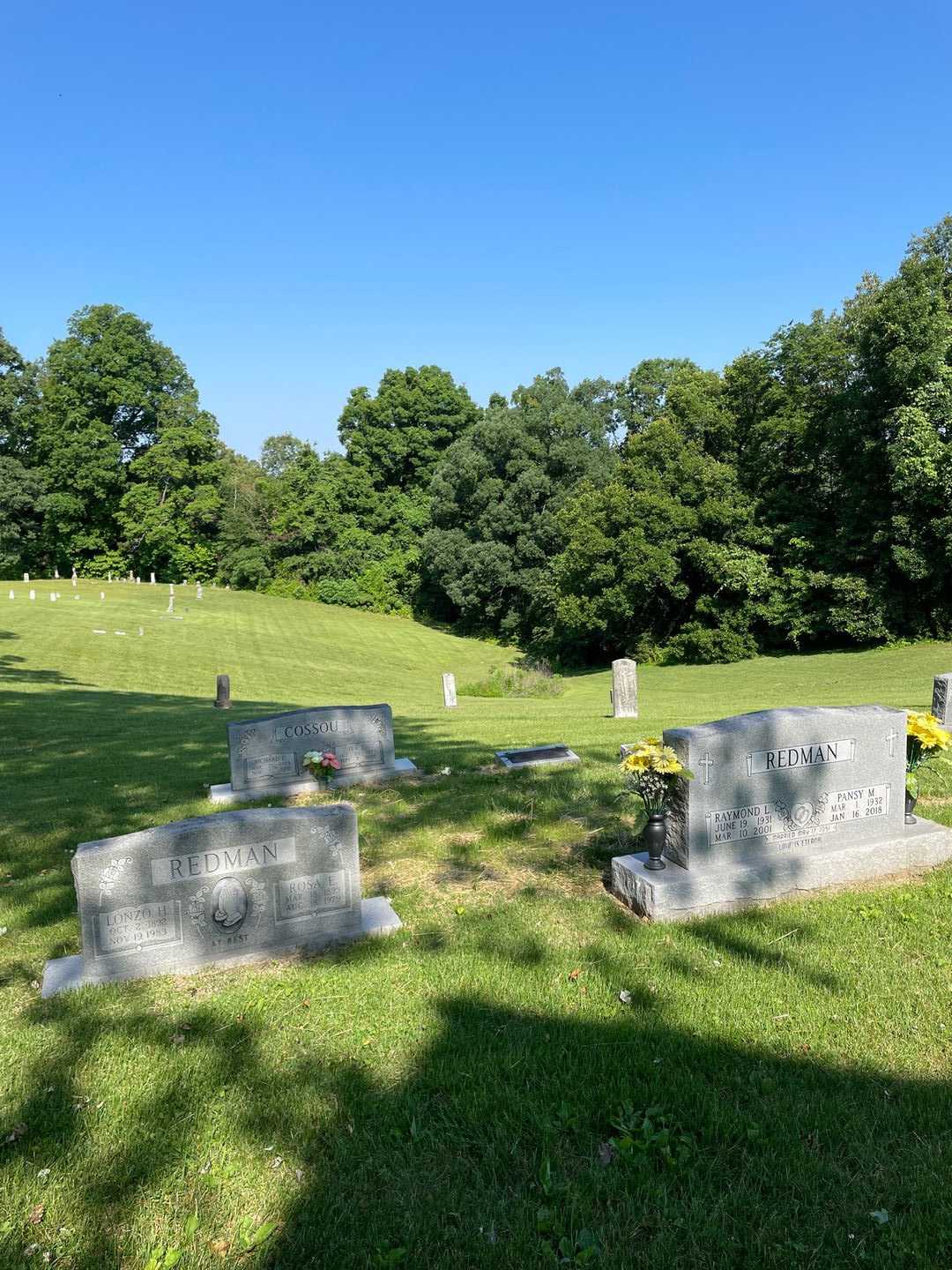 Lonzo H. Redman's grave. Photo 2