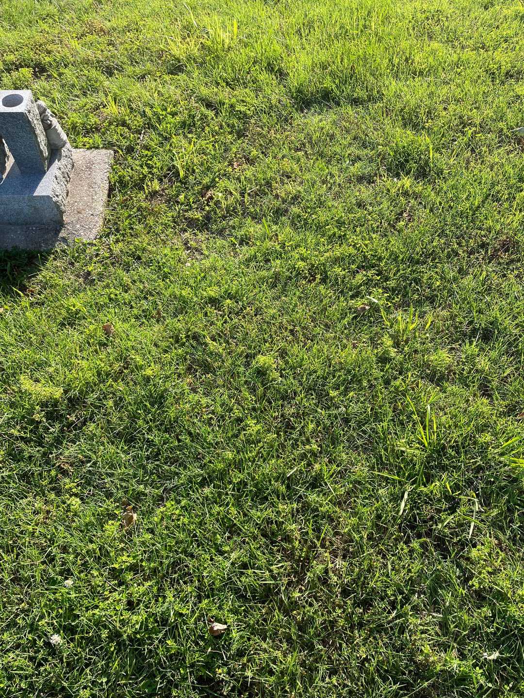 Geri Garett's grave. Photo 1