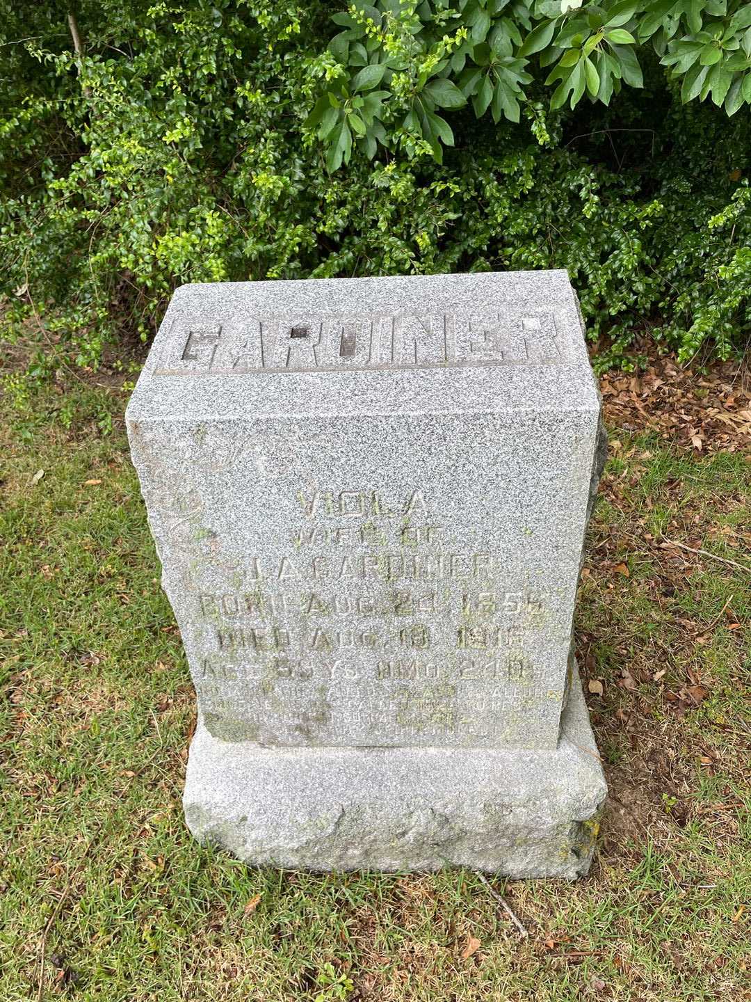 Viola Gardiner's grave. Photo 2