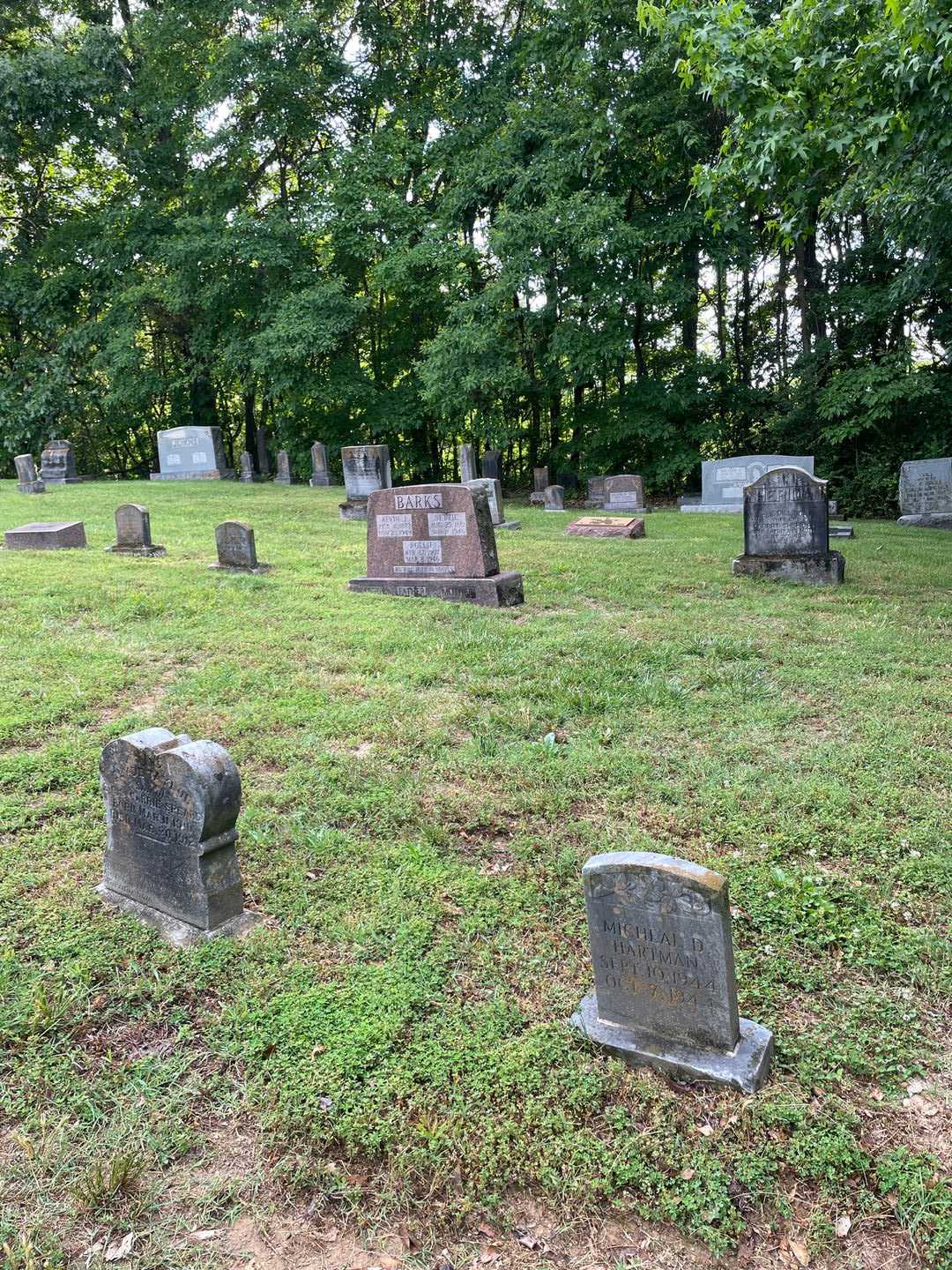 Micheal D. Hartman's grave. Photo 2