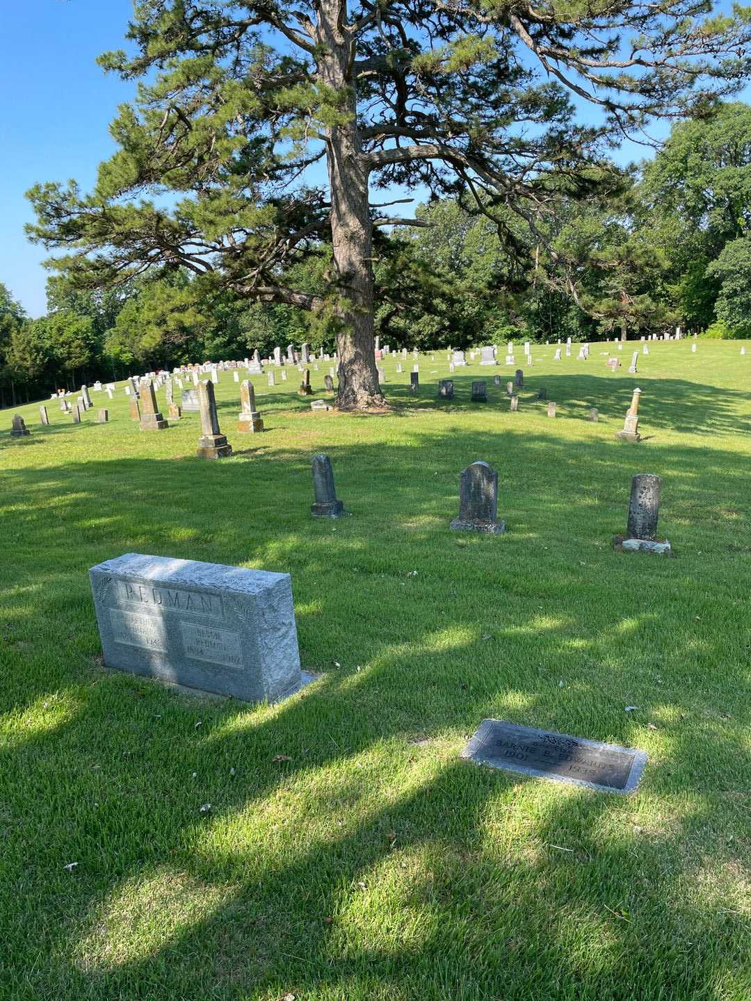 Barnie E. Edwards's grave. Photo 2