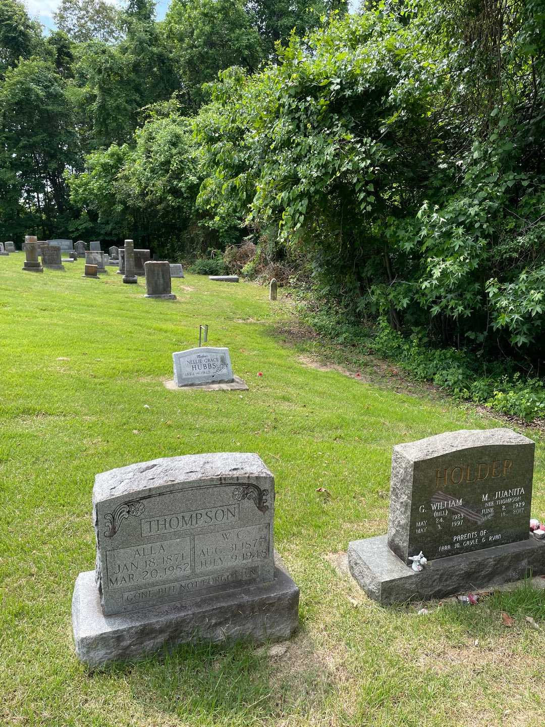 Alla Thompson's grave. Photo 2