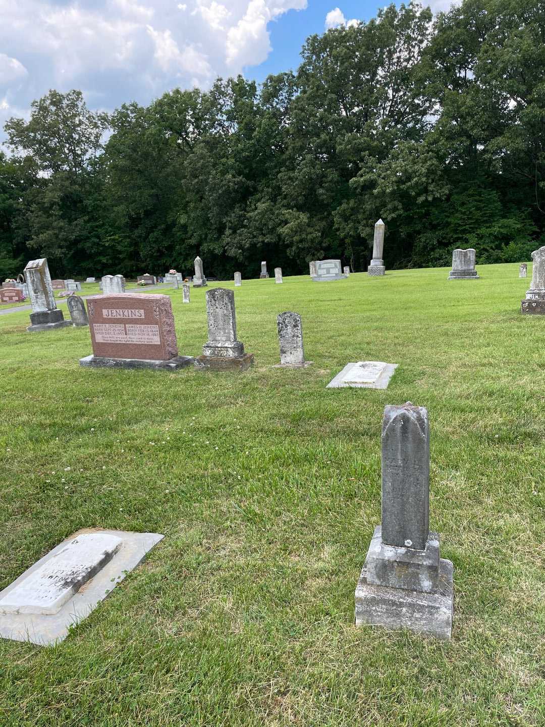 Mary I. Hefner's grave. Photo 3