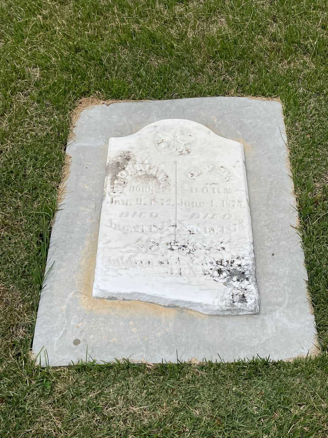 B. V. E.'s grave. Photo 1