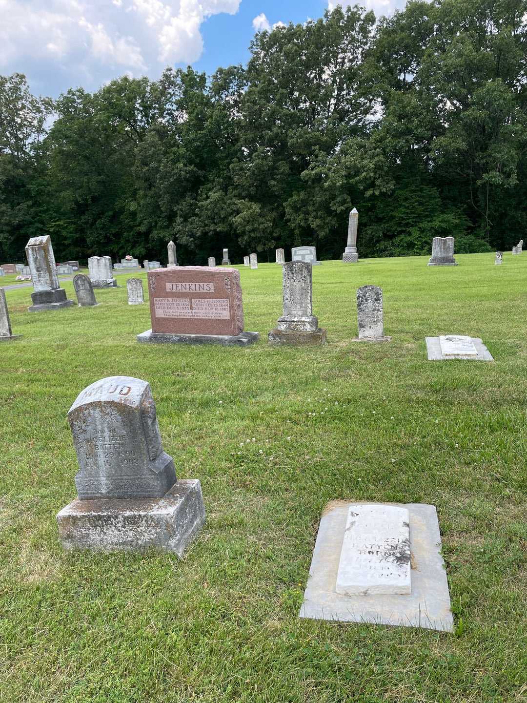 Creed Batten's grave. Photo 2