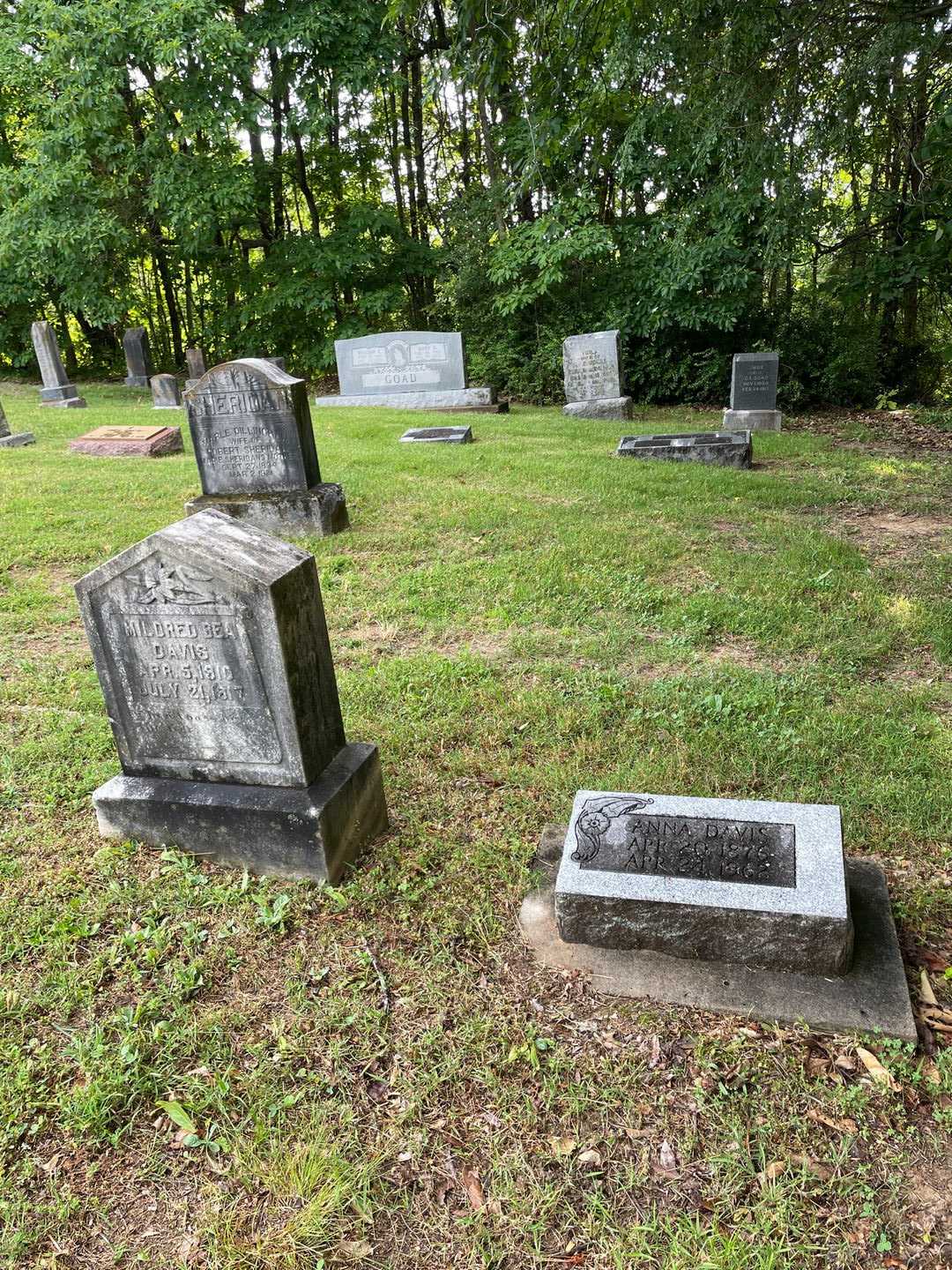 Anna Davis's grave. Photo 2