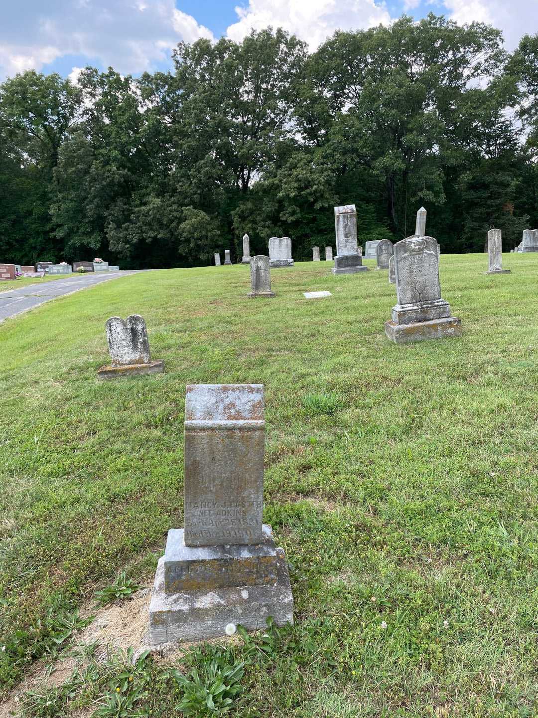 Nancy J. Adkins Foster's grave. Photo 2