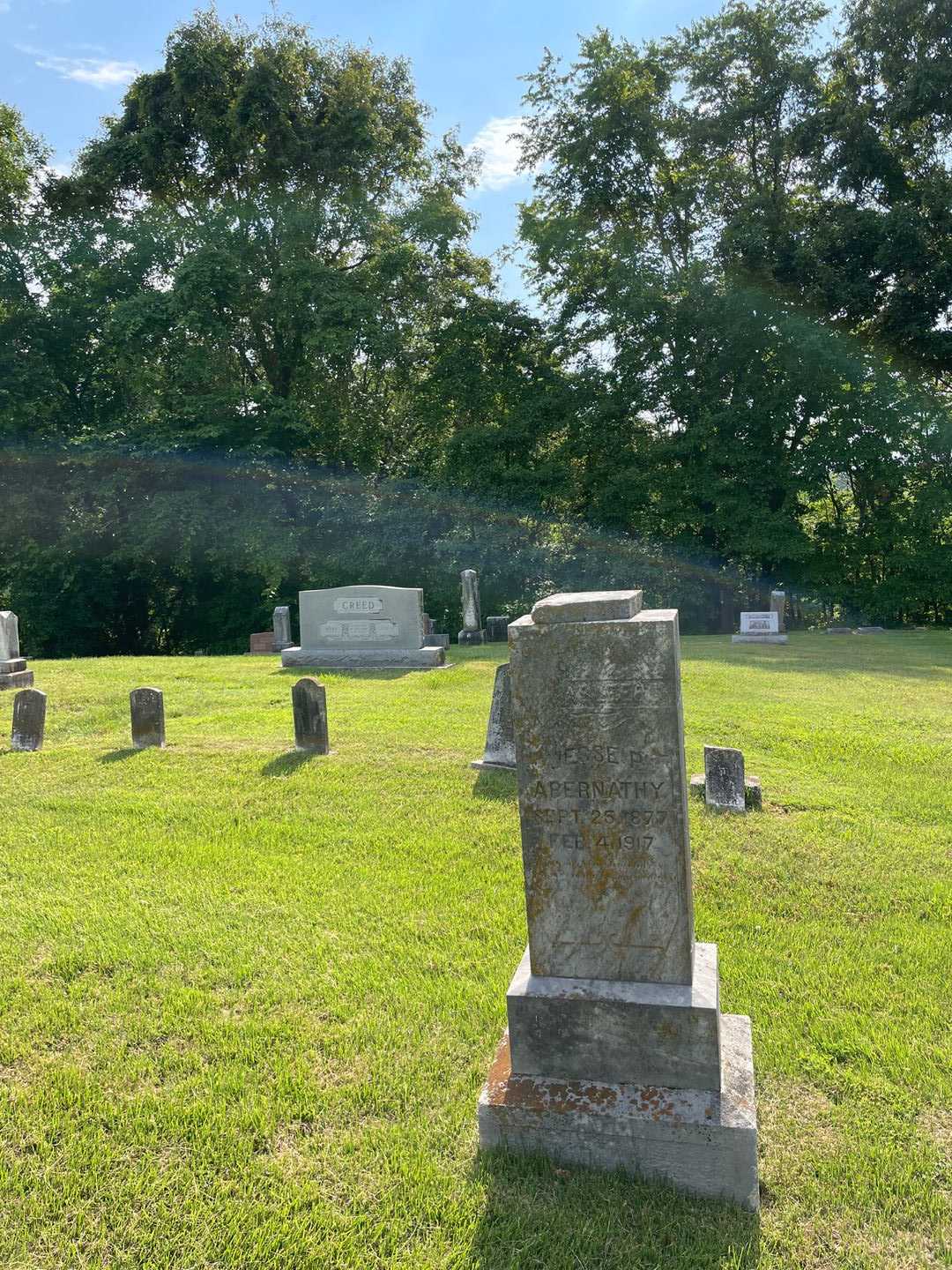 Jesse P. Abernathy's grave. Photo 2