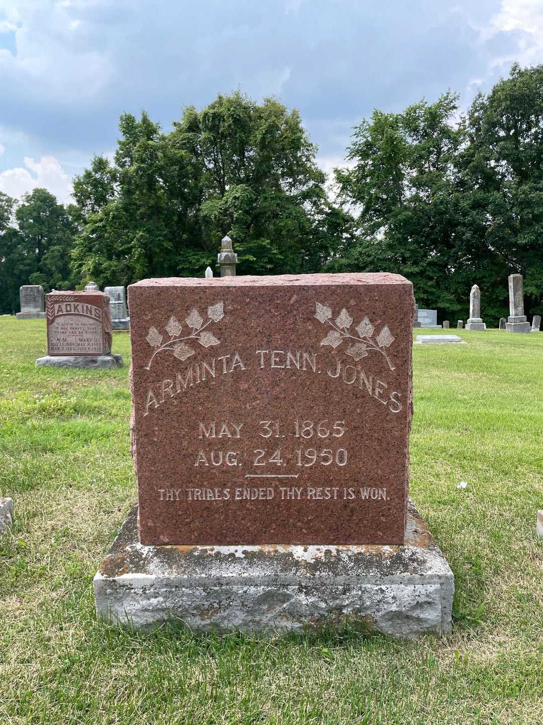 Arminta Tenn. Jones's grave. Photo 1