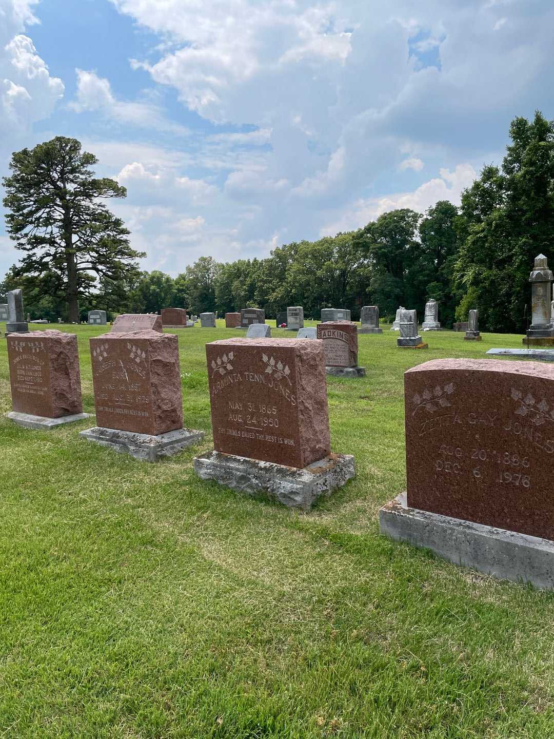 Arminta Tenn. Jones's grave. Photo 2