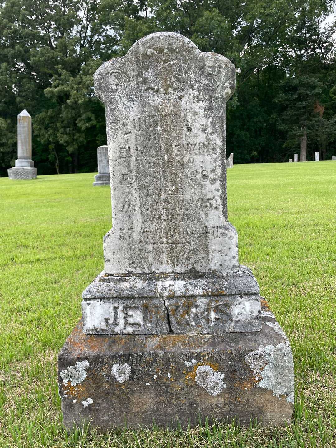 Lucile Jenkins's grave. Photo 1