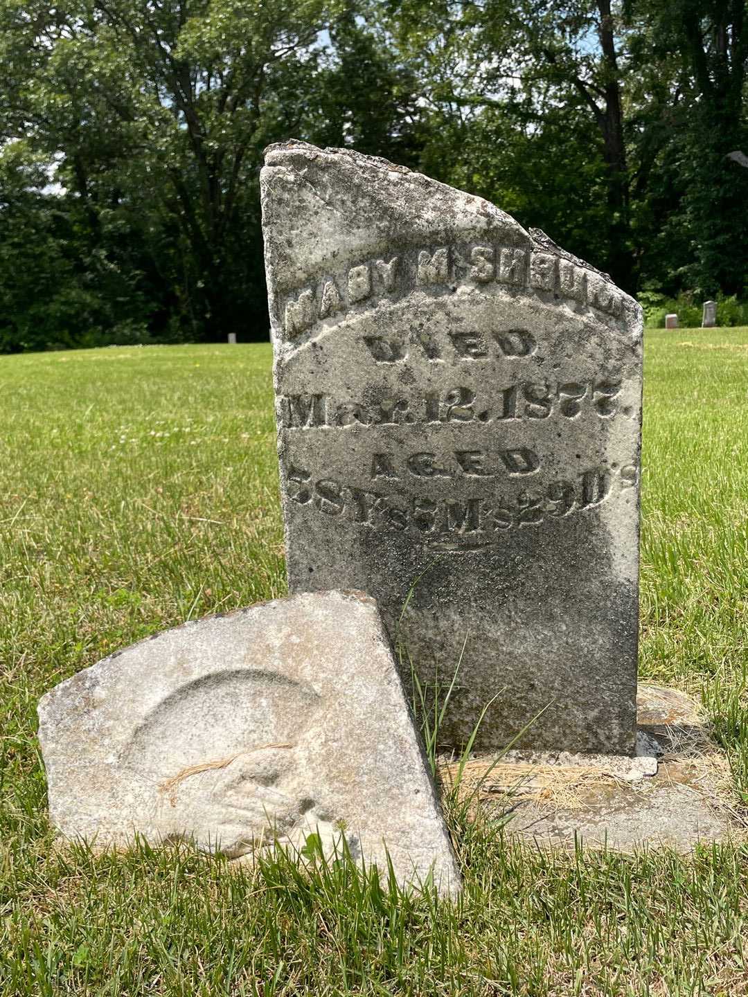 Mary M. Shrum's grave. Photo 1