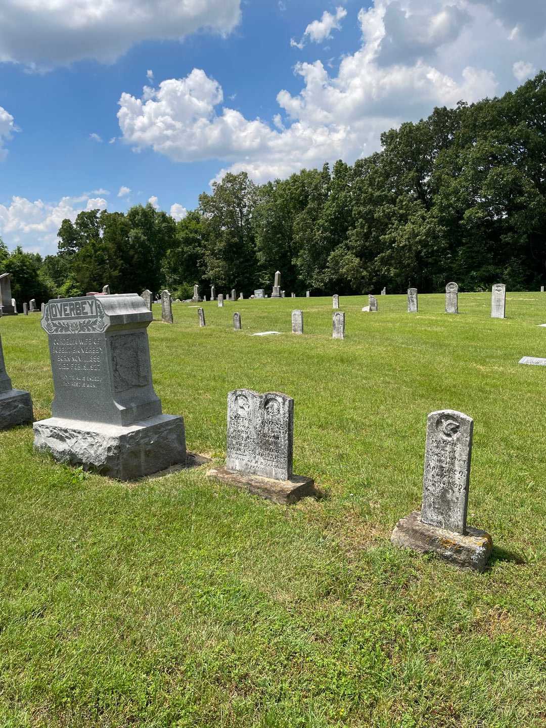 Maggie Overbey's grave. Photo 2