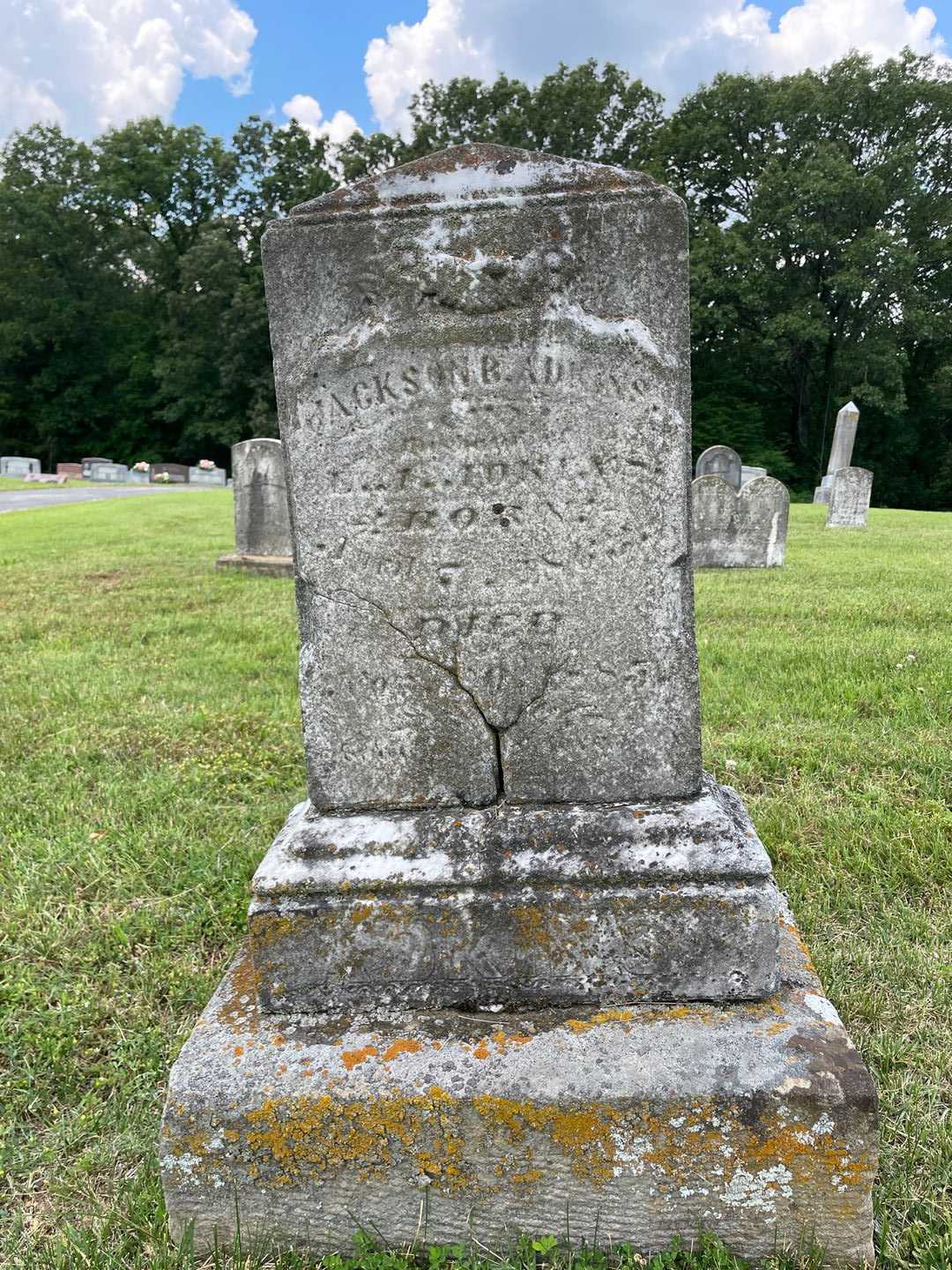 Jackson B. Adkins's grave. Photo 1