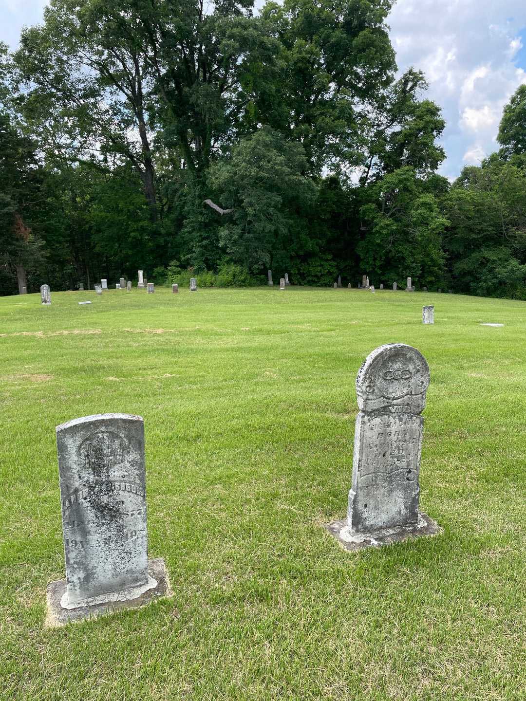 Andrey Shrum's grave. Photo 2