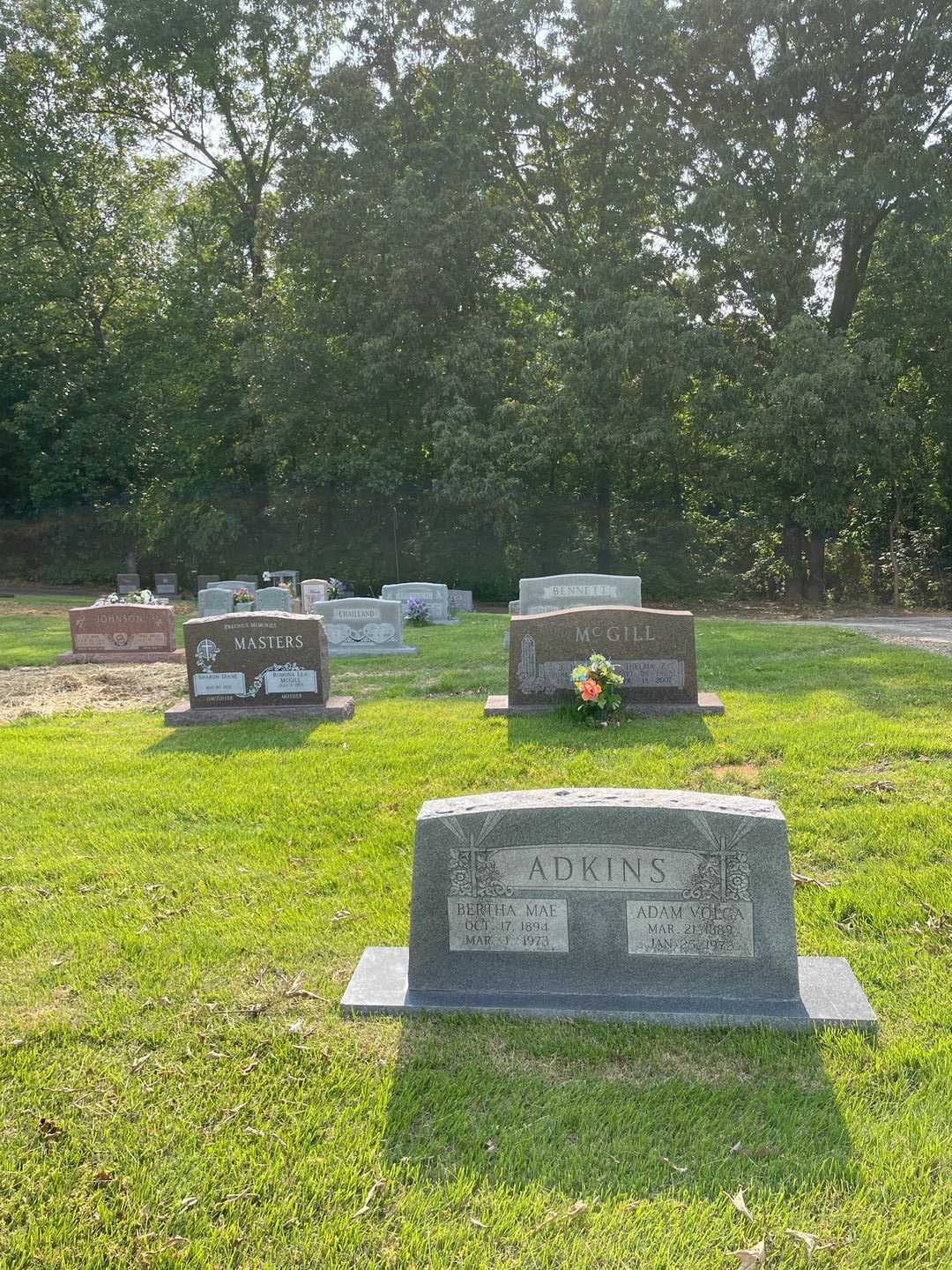 Bertha Mae Adkins's grave. Photo 3