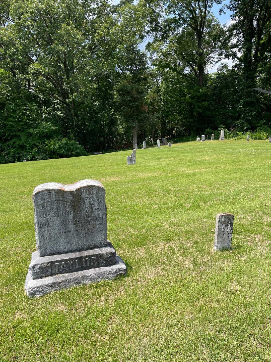 N. C. Taylor's grave. Photo 2