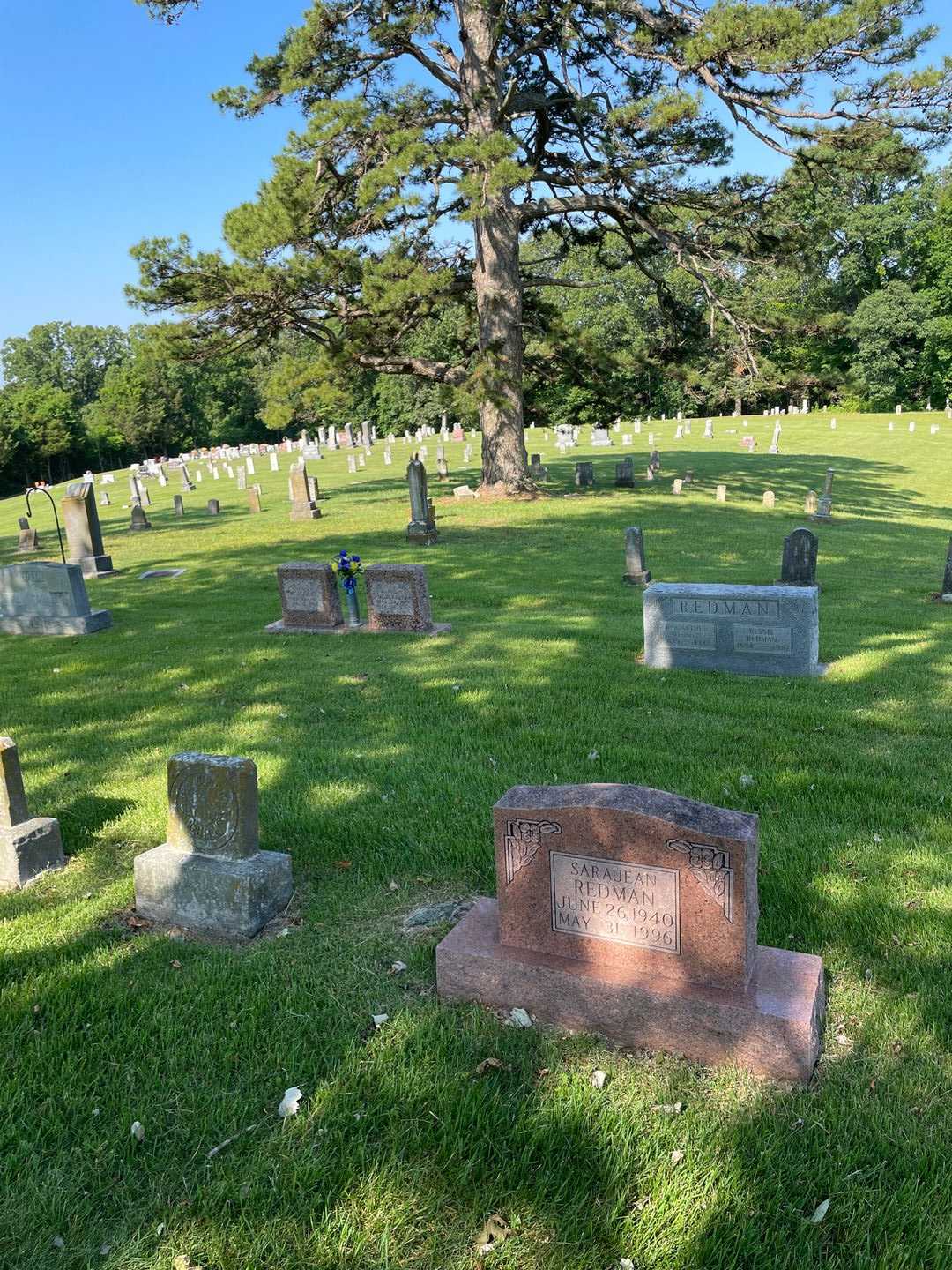 Sara Jean Redman's grave. Photo 2